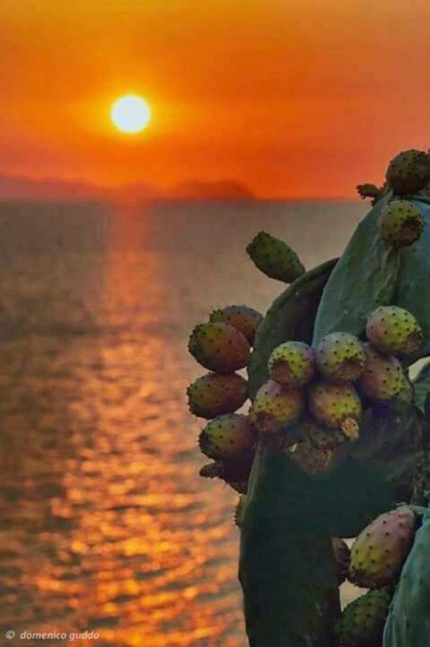 A Pozzallo Vicino Al Mare Villa Exterior photo